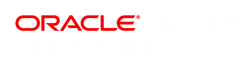 oracle_netsuite_solution_provider_horizB